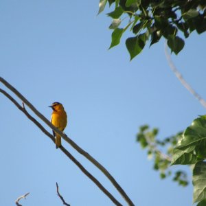 IMG_4034.JPG