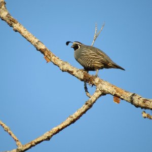 IMG_4019.JPG