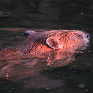 IMG_4010.JPG