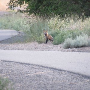 IMG_3994.JPG