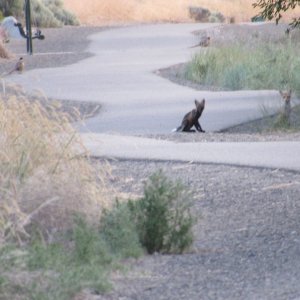 IMG_3991.JPG