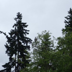 IMG_2826.jpeg