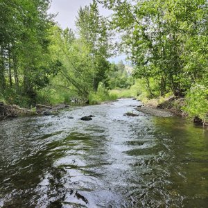 20250619_newwater.jpg
