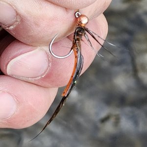 20250622_abusedcraw.jpg