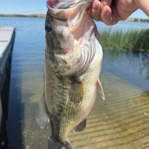 IMG_1478.jpeg