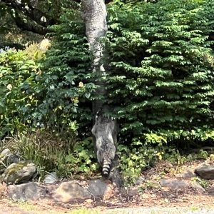 IMG_2874.jpeg