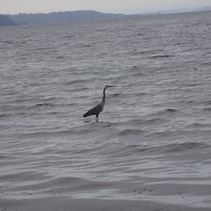 IMG_2879.jpeg