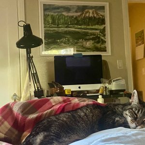 IMG_7476.jpeg