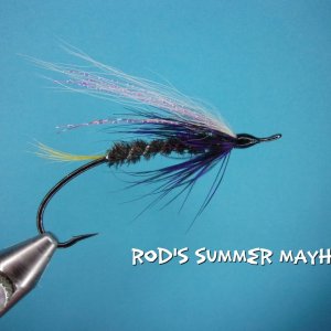 Rod's Summer Mayhem.jpg