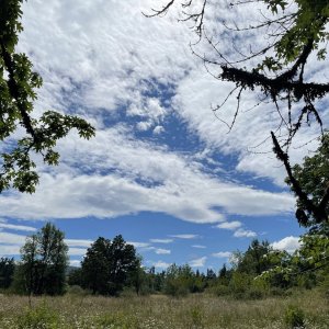 IMG_4716.jpeg