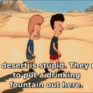 beavisandbutthead-stupid-desert.gif