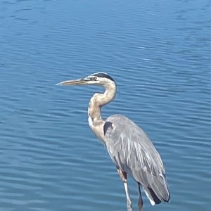 IMG_5517.jpeg