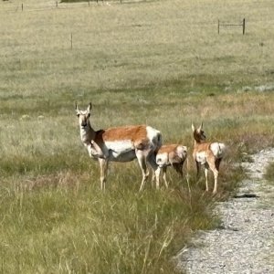IMG_4263.jpg