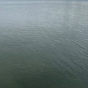 IMG_2963.jpeg