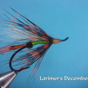 Larimer's December Day.jpg