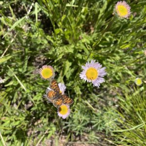 IMG_4758.jpeg