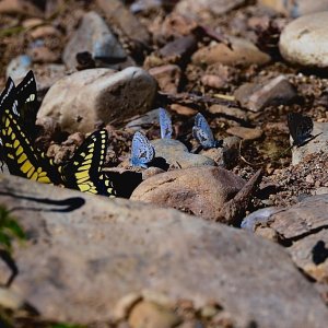 DSC_2248.jpeg