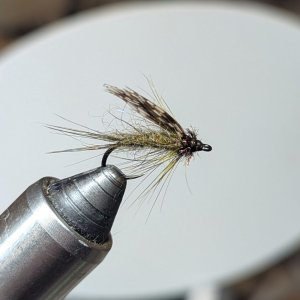 PXL_20250706_202347865.jpg