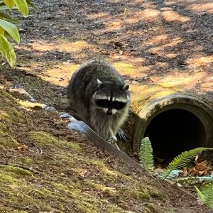 IMG_3011.jpeg