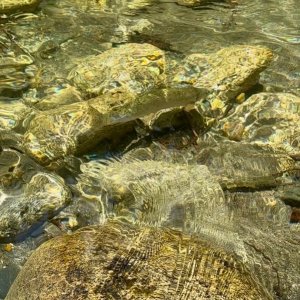 IMG_2305.jpeg