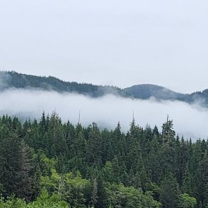 20250710_081259.jpg