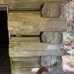 IMG_3218.jpeg
