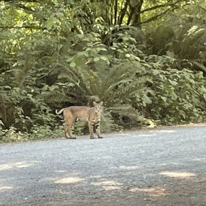IMG_0953.jpeg