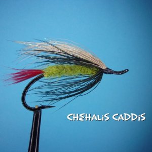 Chehalis Caddis.jpg