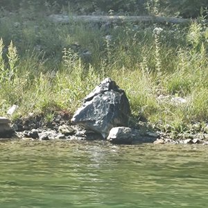 IMG_20250721_095117908~2.jpg