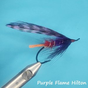Purple Flame Hilton.jpg