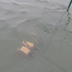 IMG_3160.jpeg