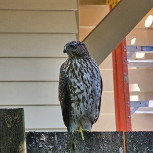 IMG_6224.jpeg
