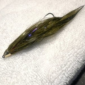 IMG_6648.jpeg