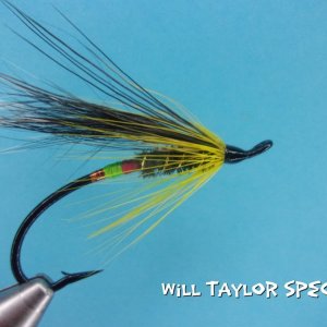 Will Taylor Special.jpg