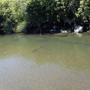 IMG_3279.jpeg