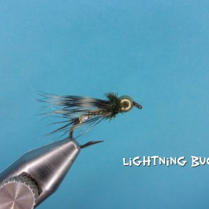 Lightning Bug.jpg