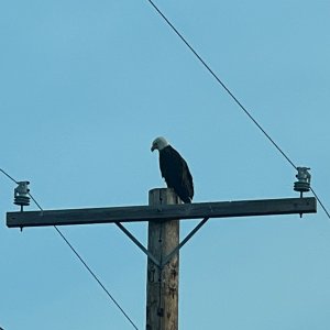IMG_3333.jpeg