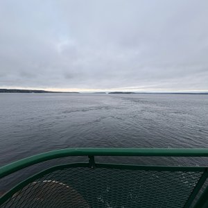 IMG_8520.jpeg
