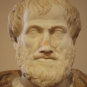 1259.jpg