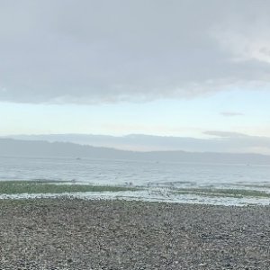 IMG_5605.jpeg