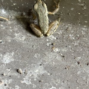 IMG_4623.jpeg