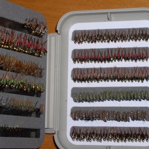 flys039-2.jpg