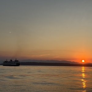 IMG_8580.jpeg