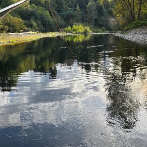 20251004_165937(1).jpg