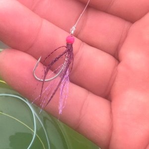 IMG_1690.jpeg