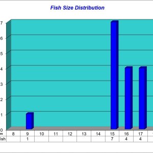 Fish Size Distribution 2022-09-23.jpg