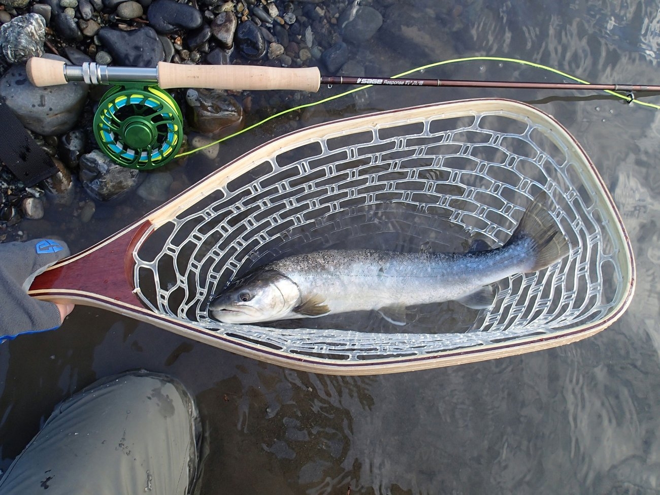 Skagit Bull Trout Primer Ch 3: The Repeats