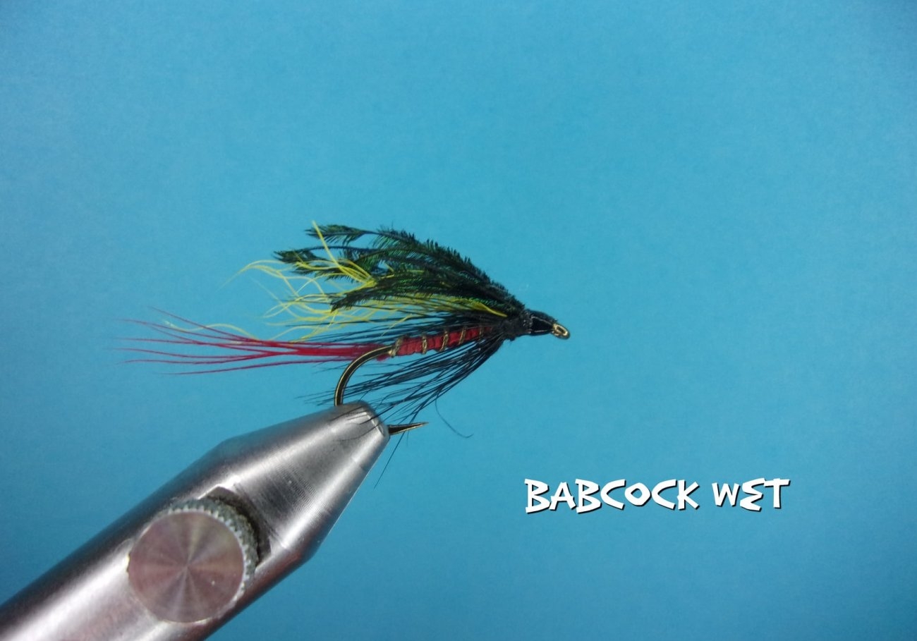 Babcock Wet.jpg