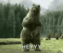 bear_dancing-hey.gif
