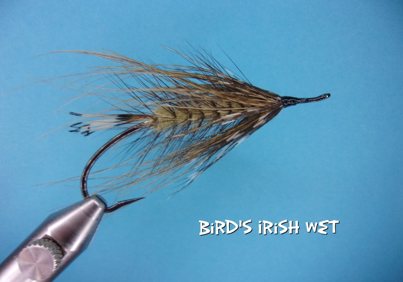 Bird's Irish Wet.jpg